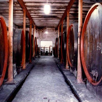 Montefalco: Historic cellar and vineyard tour with wine tasting