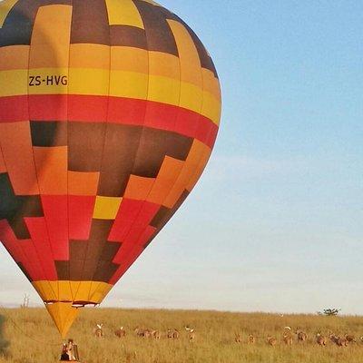 Safari Flight 