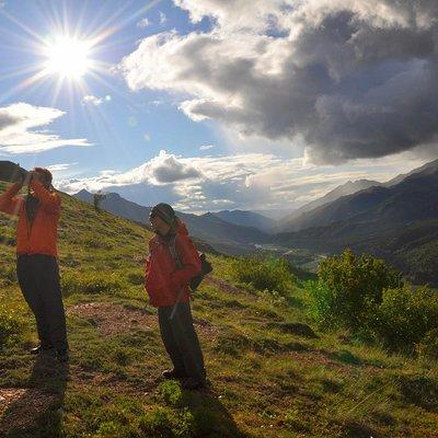 Denali Hiking Tour