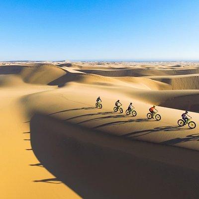 Scenic Desert Tour by Bike