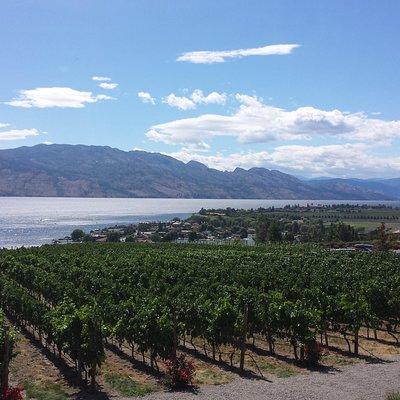 Tour and Taste Okanagan's Wine Country