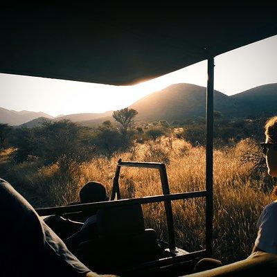 Scenic Game Drive Activity