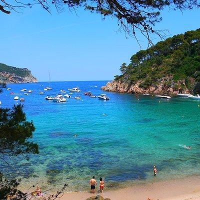 Girona & Costa Brava Small-Group Tour with Pickup from Barcelona