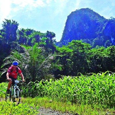 3-in-1 Ultimate Borneo Expedition Adventure