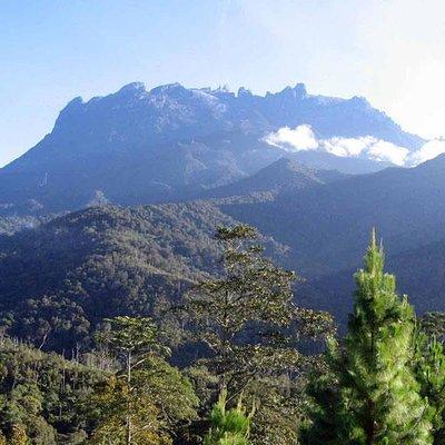 Kinabalu Park & Poring Hot Spring Tour