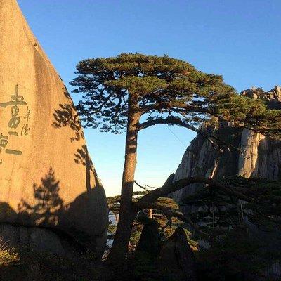 Mount Huangshan Highlights Group Tour -No Shopping