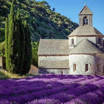 Lavender Beauty Small Group Half Day Tour from Avignon