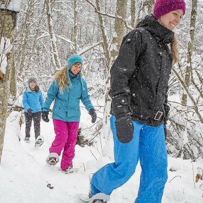 Snowshoeing Tour in Jacques-Cartier National Park