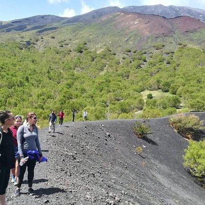 Mount Etna Half-Day Tour - Small Groups From Taormina 