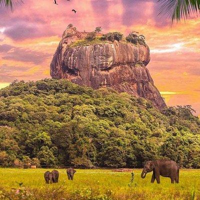  Kandy to Sigiriya Day Tour and Dambulla cave temple with private vehicle 