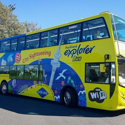 Auckland Explorer: Hop-on Hop-off Tour 