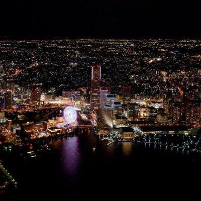Private Helicopter Tour to see Mt Fuji or Tokyo Tower