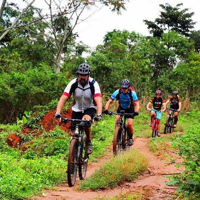 Lake Victoria Island Cycling Tour from Kampala