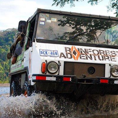 4x4 Jungle Safari to Waterfall & Delicious Rainforest Lunch