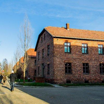 Auschwitz-Birkenau Museum Guided Tour with Ticket and Transfer