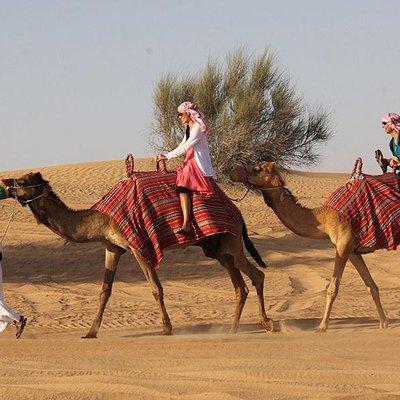 Desert Safari Tour, 6 Hour Fun, Family & Friends, Camel Ride & Dinner Included.