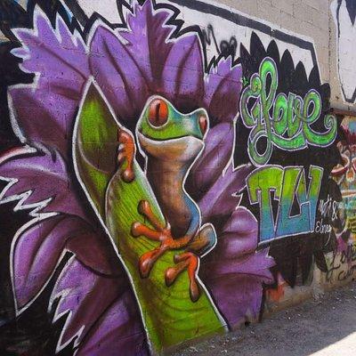 Tel Aviv Street Art & Graffiti Tour