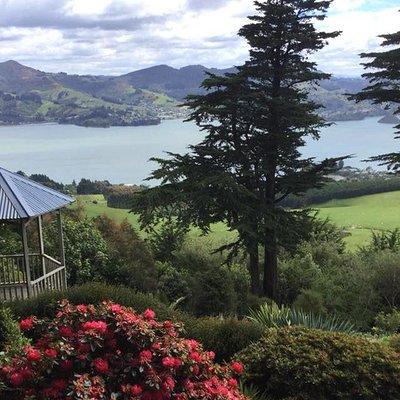 Shore Excursion: Dunedin City, Otago Peninsula, Castle Gardens & Olveston Tour