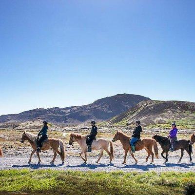 Icelandic Horseback Riding Tour from Reykjavik