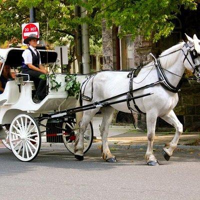 Carriage Ride in Central Park (VIP - PRIVATE) Since 1964™