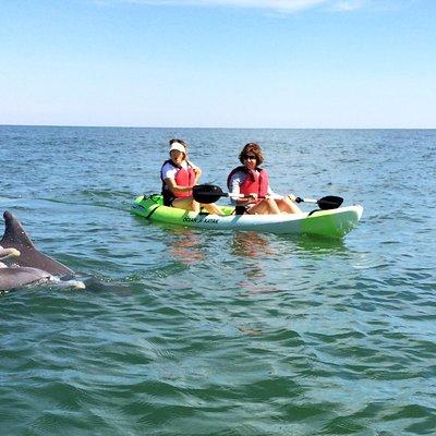 Small Group Dolphin Kayak Eco-Tour