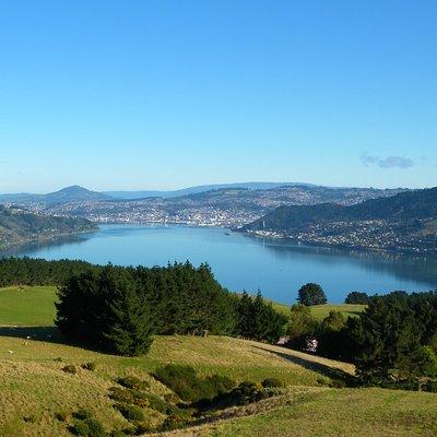 Otago Peninsula Scenery and Dunedin City Highlights Tour