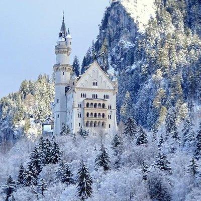 Neuschwanstein Castle by bus & Munich Xmas Market walking tour