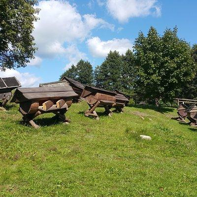 Full-Day Tour to Aukstaitija National Park from Vilnius