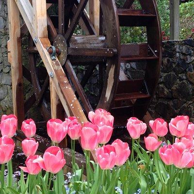 Private Small Group Tour Victoria/Transportation Butchart Gardens