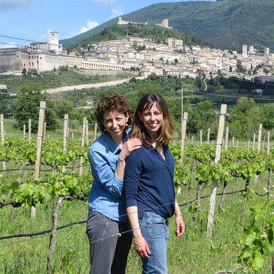 Wine tasting and walk in the Vineyard of Assisi