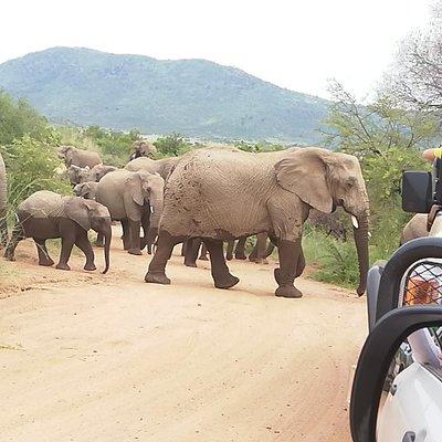 3 day Kruger National Park end with panaroma
