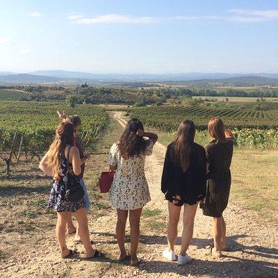 Cité de Carcassonne and Wine Tasting Private Day Tour from Toulouse