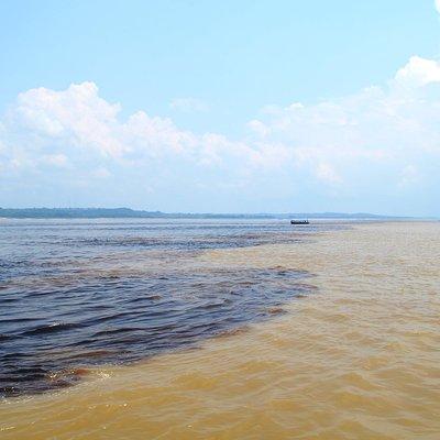 Amazon Negro River Half-Day Expedition Tour