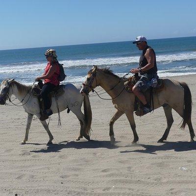 Countryside Boat Ride Beach-Horseback Ride Turtle release - Crocs