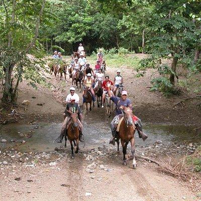 Horseback Riding River swimming From Bayahibe 