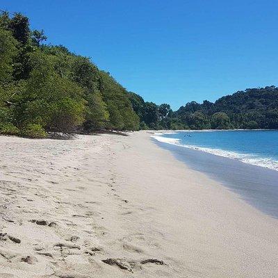 Manuel Antonio National Park; Beach & Sightseeing Day Trip from San Jose