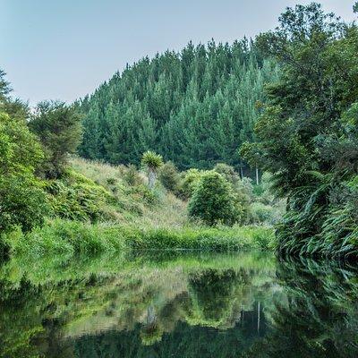 Twilight Kayak Glow worm Tour