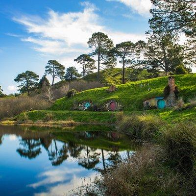 Hobbiton & Waitomo Caves Guided Day Trip from Auckland incl lunch