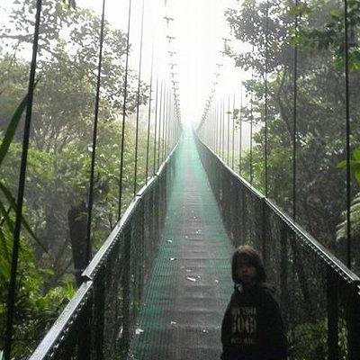  Cloud Forest hanging bridges with a local naturalist tour guide