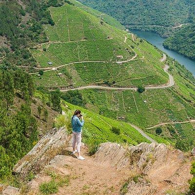 Ribeira Sacra, "Heroic Wines" Private Tour from Santiago