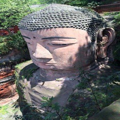 One Day Trip to Chengdu Panda Base and Leshan Buddha Tour