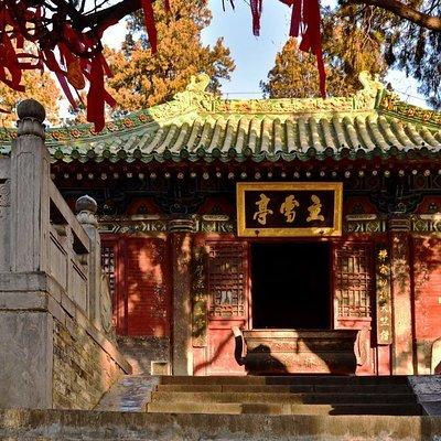 Private Day Tour to Shaolin Temple and Longmen Grottoes from Zhengzhou