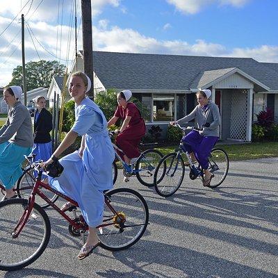 Amish Experience Trolley Tour: Bridges to Understanding