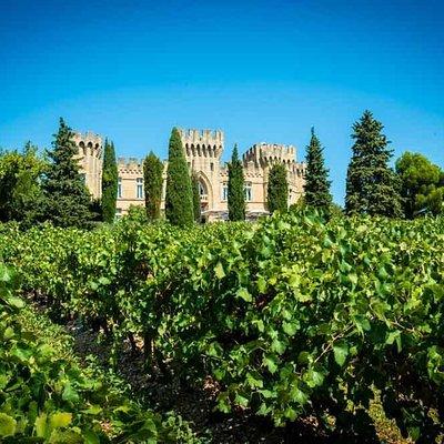 Chateauneuf du Pape wine tour