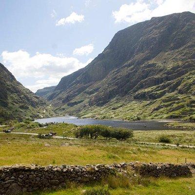 The Gap of Dunloe Adventure Day Tour from Killarney