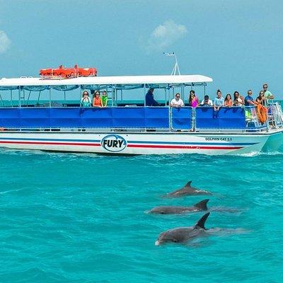 Key West Dolphin Watch and Snorkel Tour - Eco Adventure