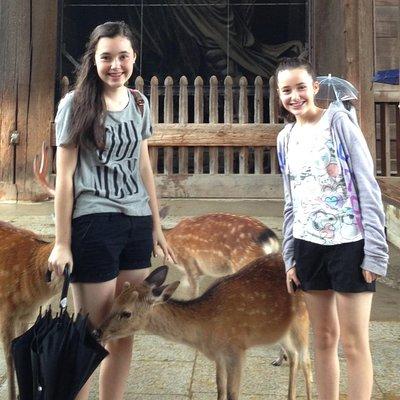 Nara private tour (Shore excursion available from Osaka or Kobe port)