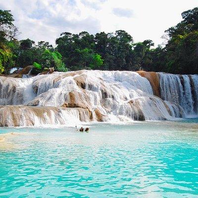 Tour cascadas de Agua Azul, Cascada Misol-Ha y Zona Arqueológica de Palenque.