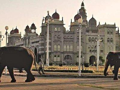 Best of Mysore/Mysuru, Somnathpur & Srirangapatna in a Day