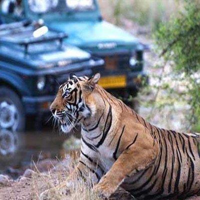 Golden Triangle Tour With Tiger Safari at Ranthambore 7 days 